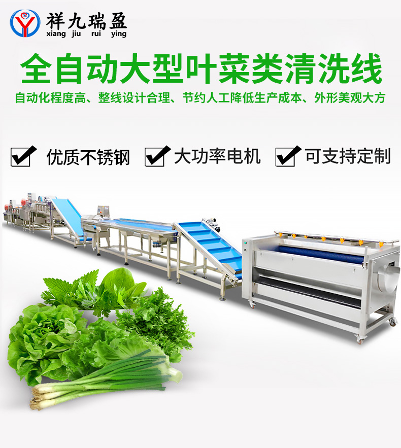 大型葉菜類清洗線生產(chǎn)流程與配套設(shè)備，你知道有多少？