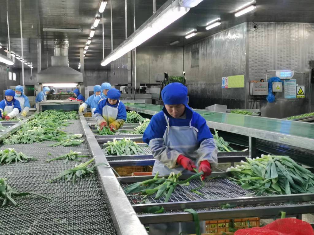 預制菜生產(chǎn)線定制方案與管理控制，如何組建預制菜的加工廠