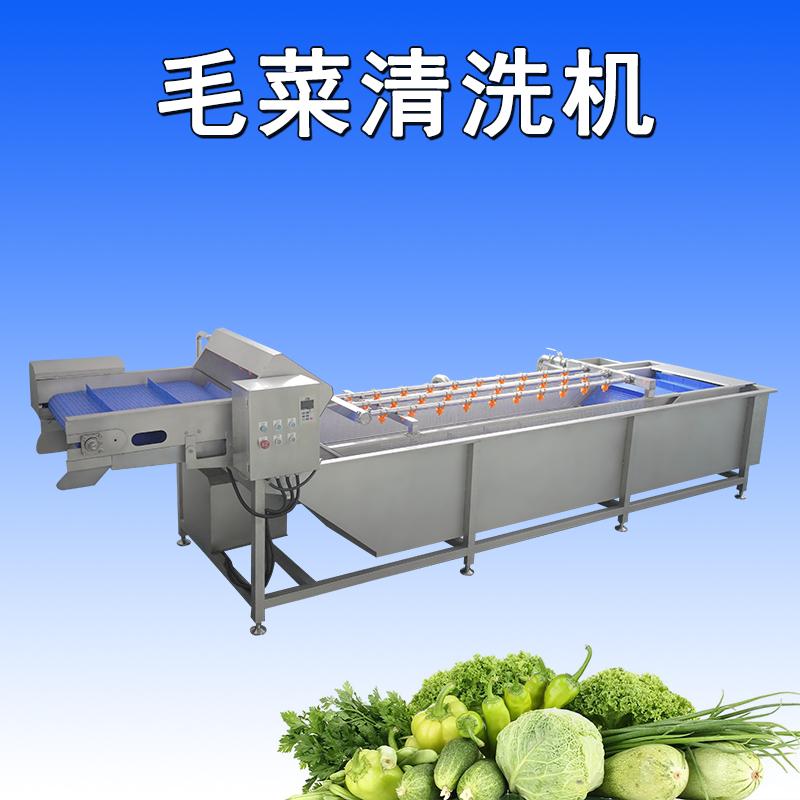 大型葉菜清洗機(jī)可將葉菜表面的污垢、沙粒和雜質(zhì)徹底清除