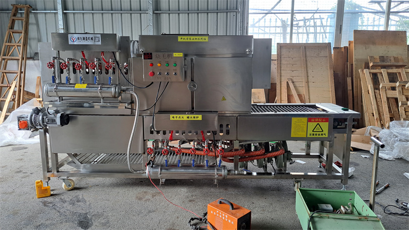 豬腳牛蹄自動(dòng)燎燒絨毛機(jī)，多爐頭、大流量的安全管家 